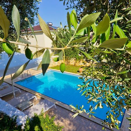 Thassian Villas Тасос Экстерьер фото